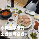 [수완지구 맛집]홍어삼합 후기_소라네막걸리