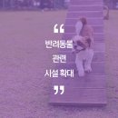 고려쇼핑센터 이미지
