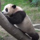 카페 레베카