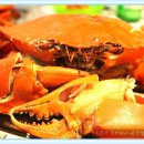 [보라카이]오빠 오늘은 뭐먹어? 디딸리빠빠3탄_씨푸드 골라먹기 이미지