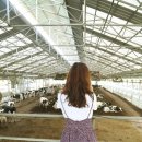 은주목장 이미지