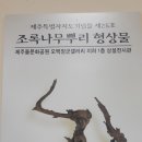 조록나무 뿌리 형상물 이미지