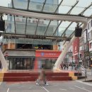 TCN KOREA 이미지