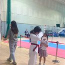 용인대 푸르미르 태권도 이미지