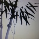 영어(원어민 중급회화B) 이미지