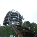 단양마중 이미지