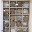 본드림한의원 이미지