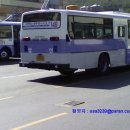 삼신교통 이미지