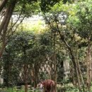 농가맛집 밀 이미지