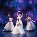 댄싱뮤지엄(서울발레시어터) 이미지