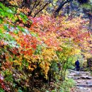 낙원농장 이미지