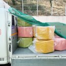 대전대화초교 이미지