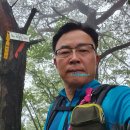 충주남한강초병설유 | 금수지맥 제1구간 분기점에서 동산갑오고개까지 산행후기