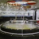 장수헬스사우나 이미지