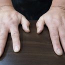 참바다회(독도수산) 이미지