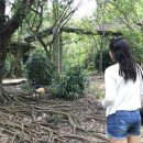 성인이 돼서 다시 배우는 한국사 | 아 나 이제 22살 ..?