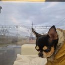 낄낄아놀자 이미지