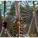 동피랑사람들 이미지