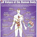 암 투병 관리 과정에서 인체의 Ph 수치 조절이 필요 합니다 이미지
