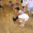 나무오리어린이집 | 경기도 용인 아이와 가볼만한 곳 포레스트벨 동물체험과 수확체험을 한번에 즐길 수 있는 곳