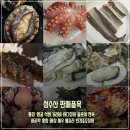 [봄제철 해산물] 통영 활멍게, 미더덕, 생굴 ,해삼 ,도다리 ,고등어, 장어, 문어 택배 이미지
