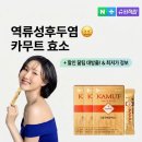 CJ 바이오코어 카무트 효소, 역류성 인후두염러의 솔직 후기 (ft.할인 꿀팁)