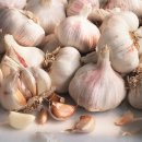 농산물 소개소 이미지