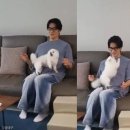 거의로 이미지