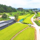 기록태양광발전소 이미지