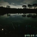 대암천 티스토리
