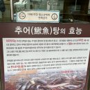 남원 PC | [서신] 제부도 국물이 끝내주는 &#34;추오정남원추어탕&#34; 우렁추어탕 영양솥밥 후기
