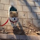 부평공원 이미지