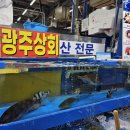 철마상회 이미지