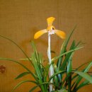 사랑가B 이미지