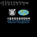 서울종합동물병원방배 이미지