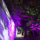 장안모텔 이미지