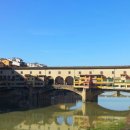 폰테피렌체 이미지