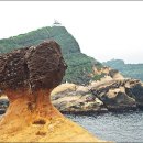 짱돌 이미지