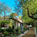 햇살농원 애견 | 포천 토일농원 카페 ｜ 계곡과 정원에서 즐기는 애견동반 힐링카페