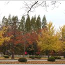 보문호수 이미지