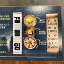 가성비 최고 숯불 구이 무한리필 ‘고기싸롱 목포하당점’ 내돈내산 후기