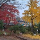 반딧불자연캠핑장 이미지