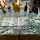 안경플래너 안경원 이미지