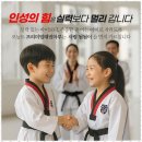 마루태권도 이미지