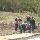 송암1리 이미지