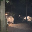 아잘리아그린 이미지