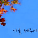 성 골롬반의원 기념 이미지