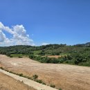 만수양계장 이미지