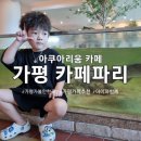 가평경찰서 민원화장실 | 가평 카페파리 상어와 가오리가 있는 오픈수조 아쿠아리움 카페 정보 및 메뉴추천