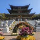 대광사 | [분당 대광사 카페트 세탁 후기] 넓은 법당 색감과 향기까지 새롭게 – 그린하우스